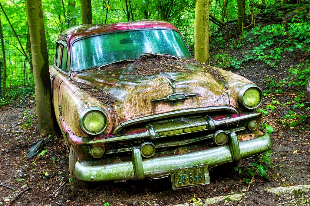 HDR Auto Skulpturen Park museum Neandertal oldtimer urbex decay abandoned derelict abandonne Michael Fröhlich froehlich Duitsland deutschland kunst art